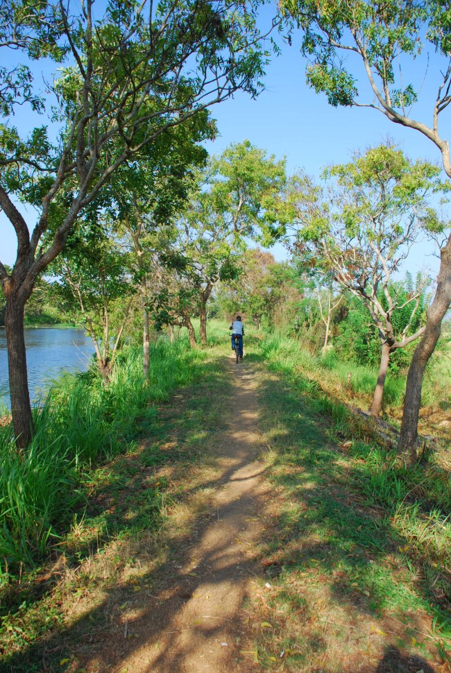 Picturisque Cycling Trails