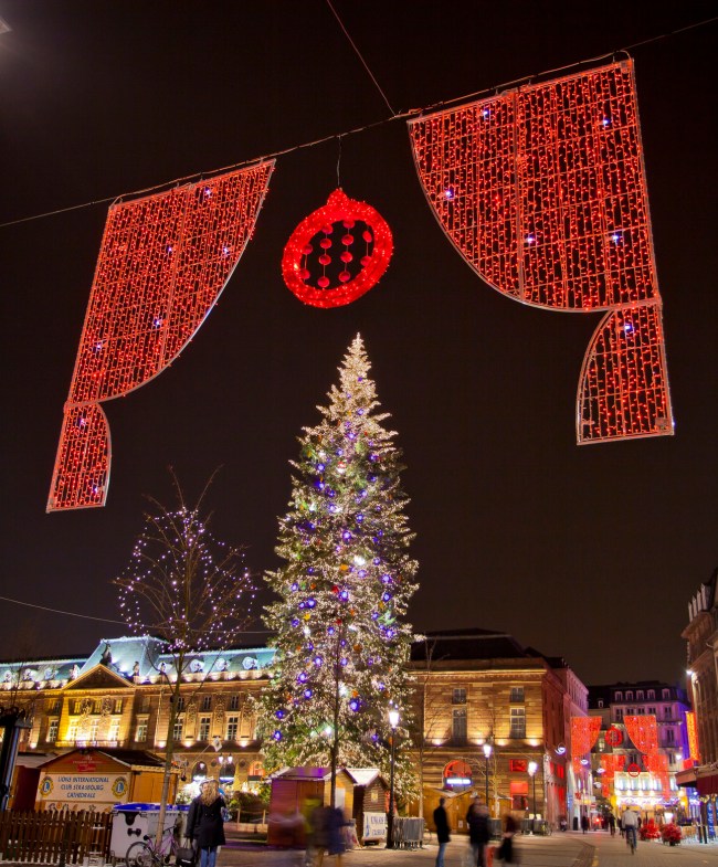 Image 6 Place Kleber tree